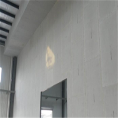 祁连新型建筑材料掺多种工业废渣的ALC|ACC|FPS模块板材轻质隔墙板